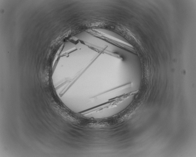 X0000080170545200612221253