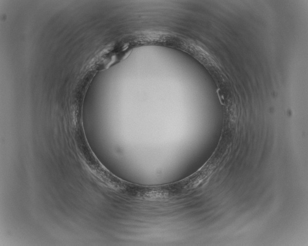 X0000080170546200612221253