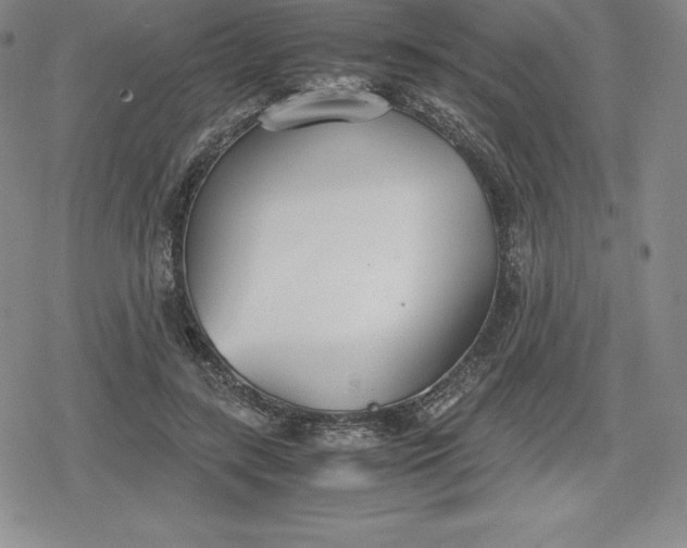 X0000080170547200612221253