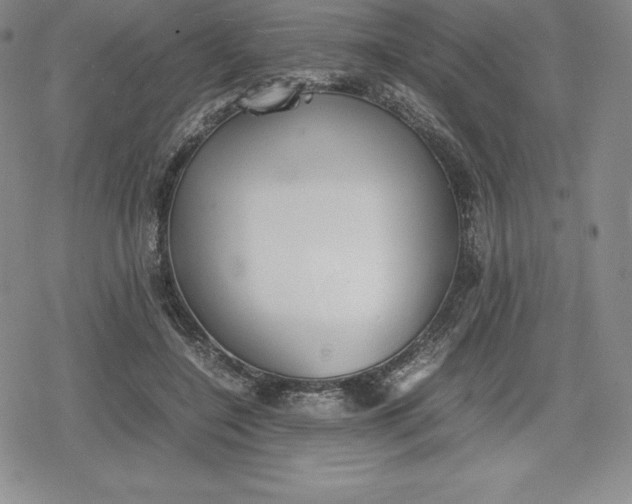 X0000080170548200612221253