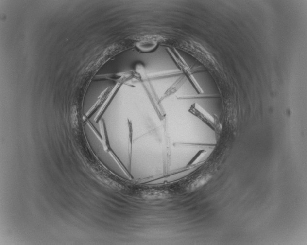 X0000080170549200612221253