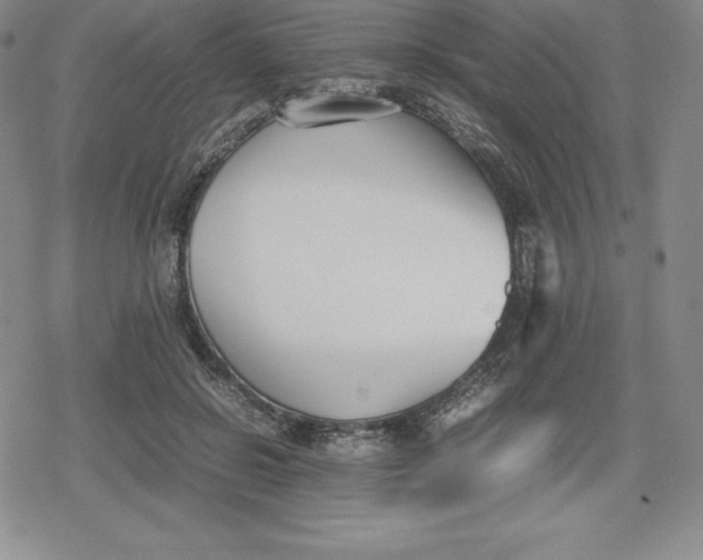 X0000080170550200612221253