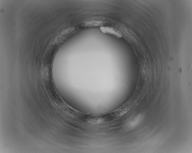 X0000080170551200612221253