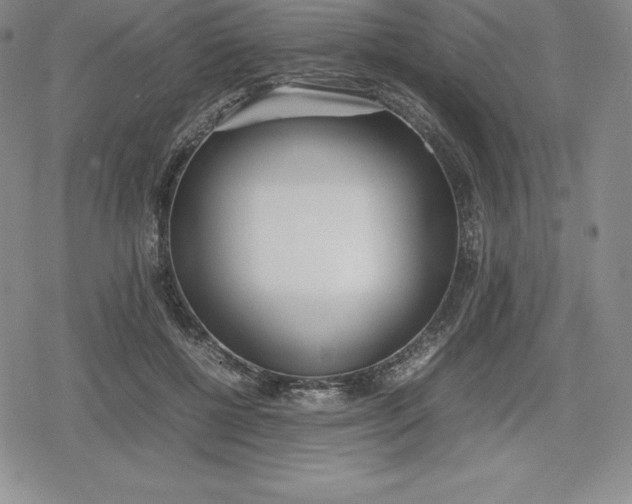 X0000080170552200612221253