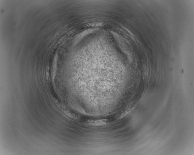 X0000080170553200612221253