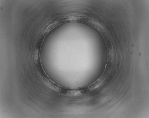 X0000080170554200612221253