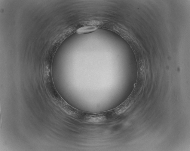 X0000080170555200612221253