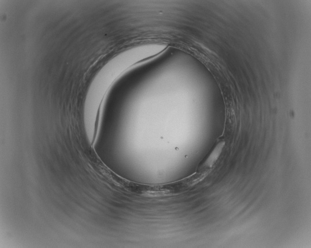 X0000080170556200612221253