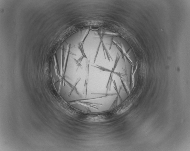 X0000080170557200612221253