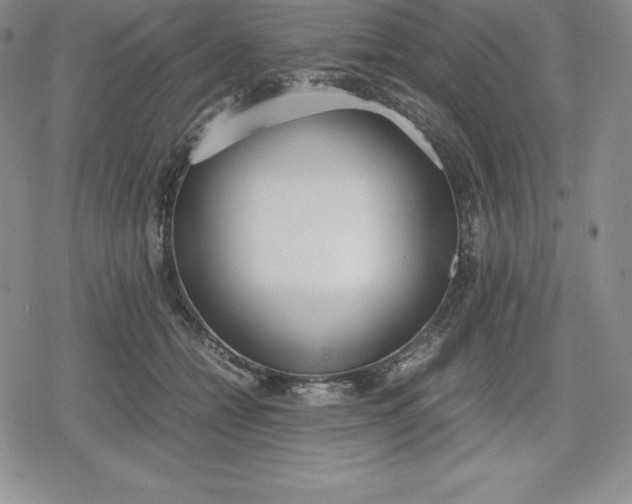 X0000080170558200612221253