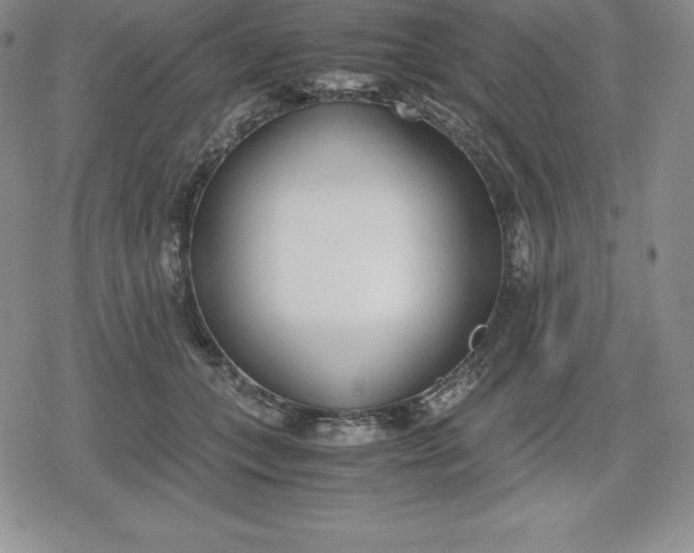 X0000080170559200612221253