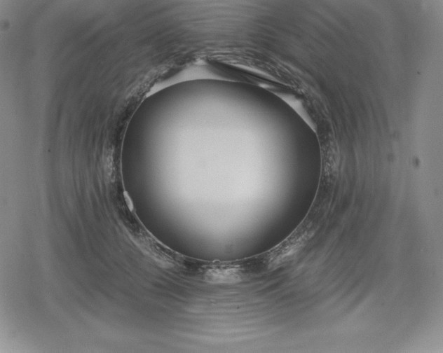 X0000080170560200612221253