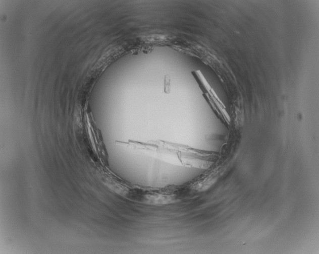 X0000080170561200612221253