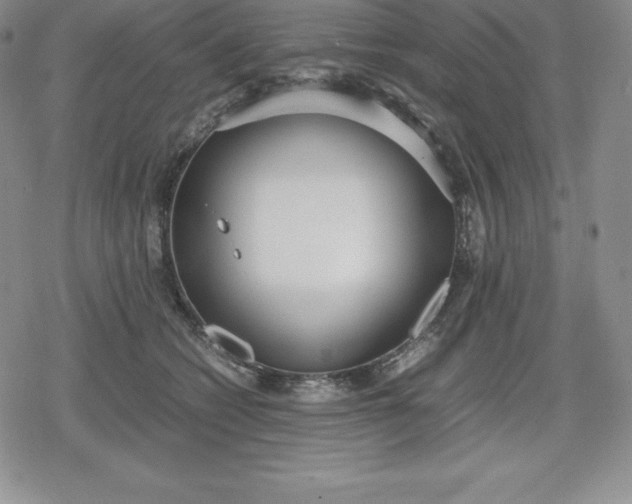 X0000080170562200612221253