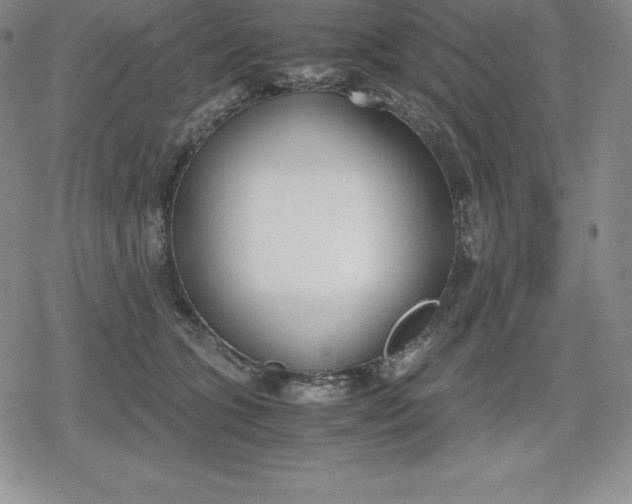 X0000080170563200612221253