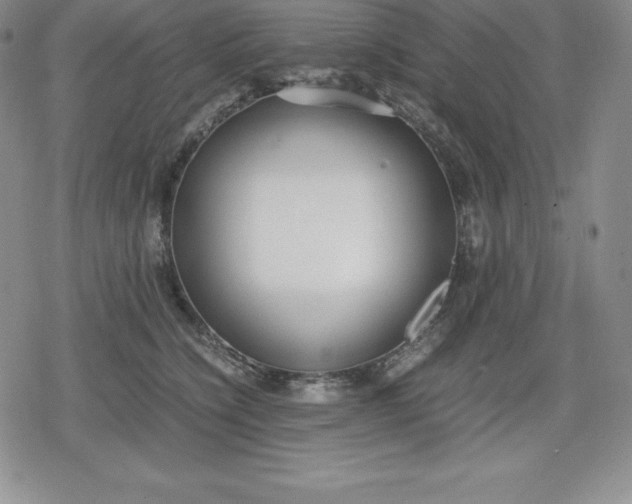 X0000080170564200612221253