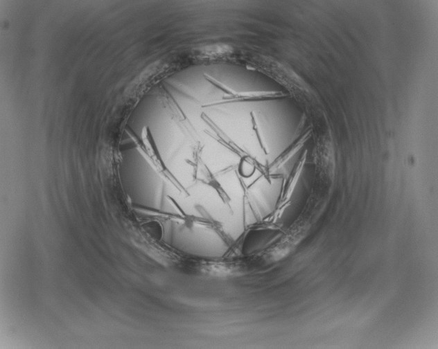 X0000080170565200612221254