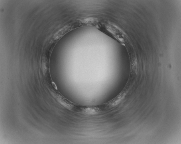 X0000080170566200612221254