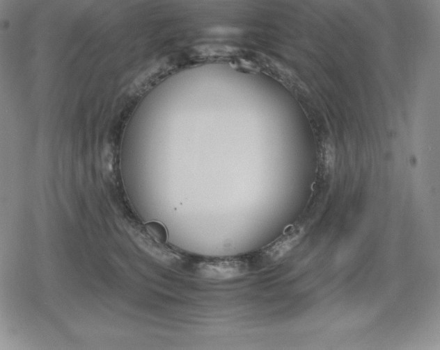 X0000080170567200612221254