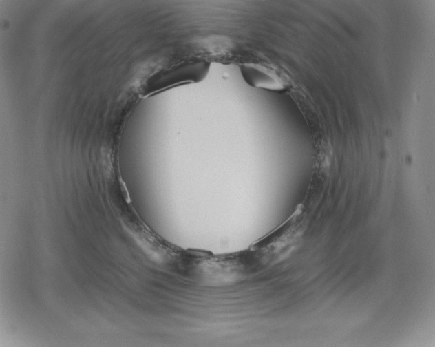 X0000080170568200612221254