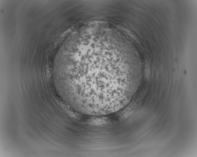 X0000080170569200612221254