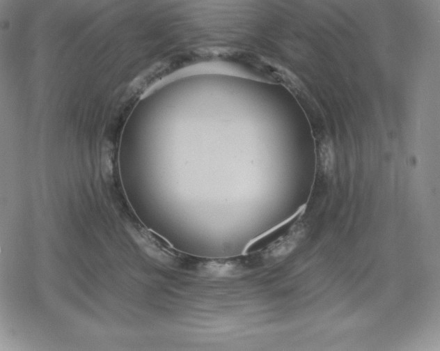 X0000080170570200612221254