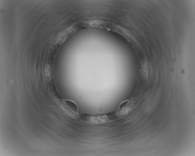 X0000080170571200612221254