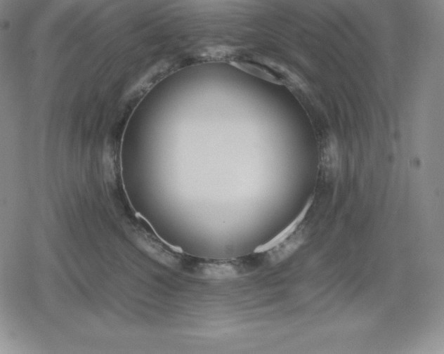 X0000080170572200612221254