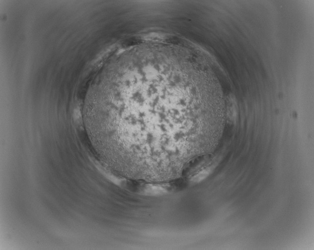 X0000080170573200612221254