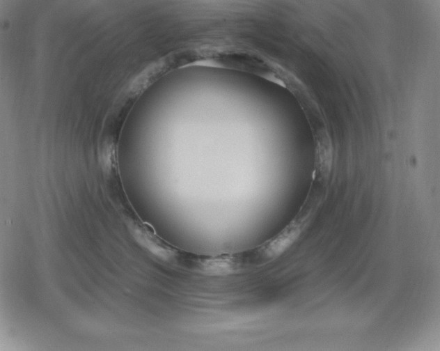 X0000080170574200612221254