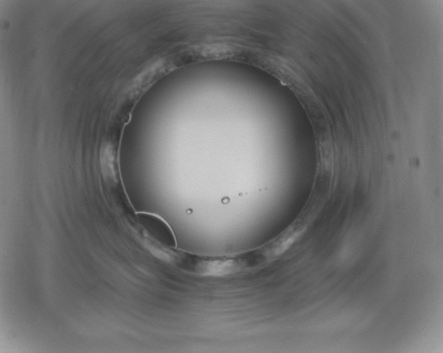 X0000080170575200612221254