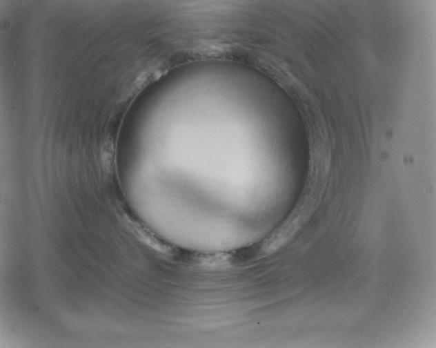 X0000080170576200612221254