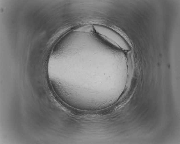 X0000080170577200612221253