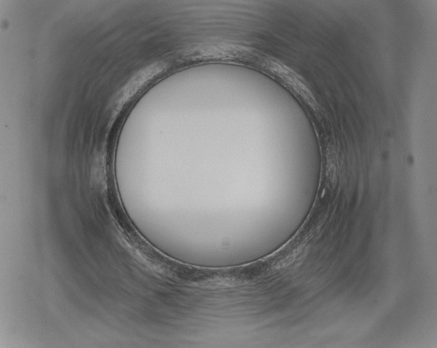 X0000080170578200612221253