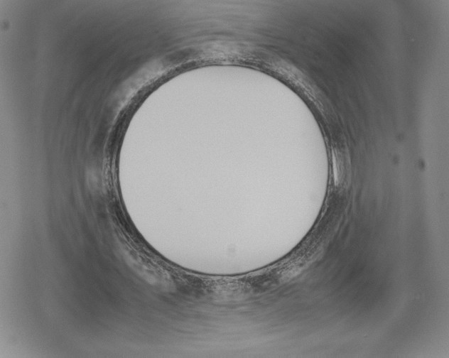 X0000080170579200612221253