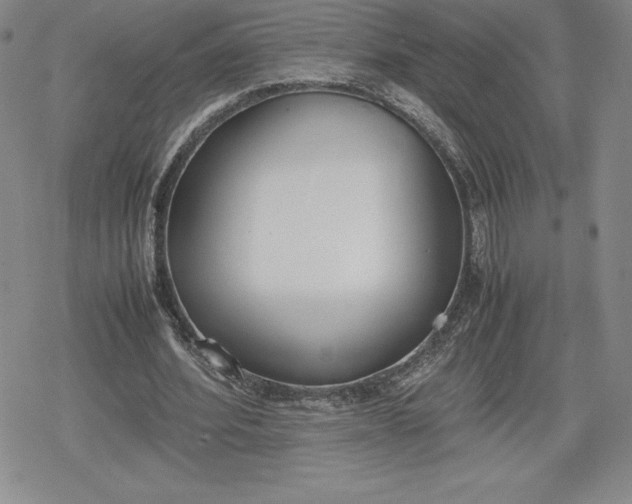 X0000080170580200612221253