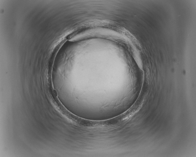 X0000080170581200612221253