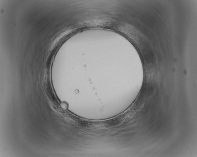 X0000080170583200612221253