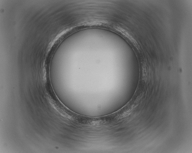 X0000080170584200612221253