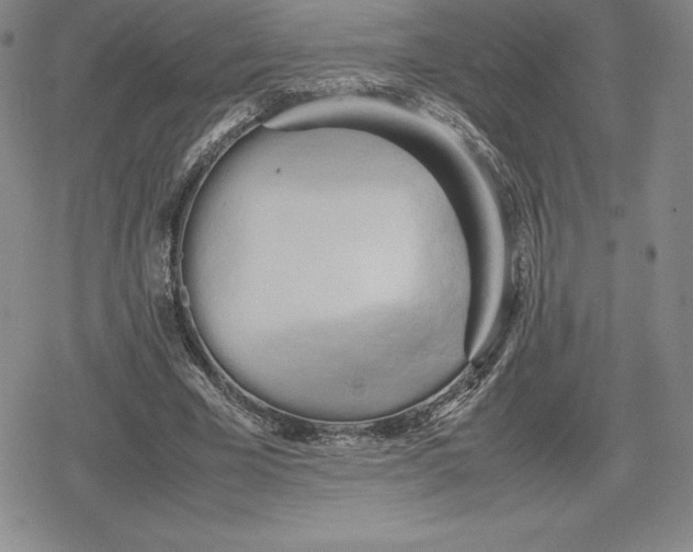 X0000080170585200612221253