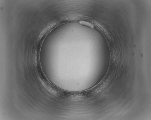 X0000080170586200612221253