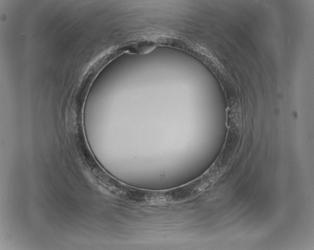 X0000080170587200612221253