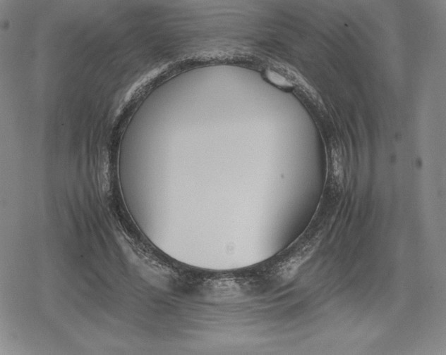 X0000080170588200612221253