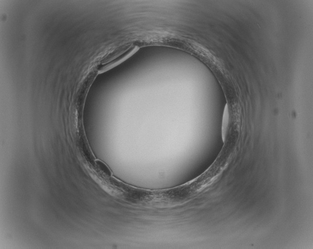 X0000080170589200612221253