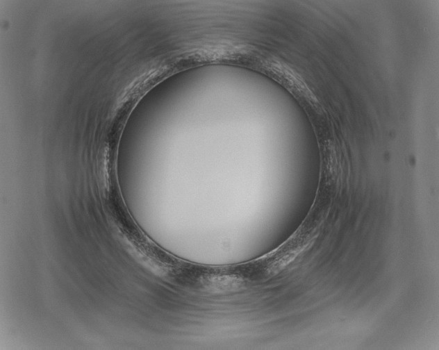 X0000080170590200612221253