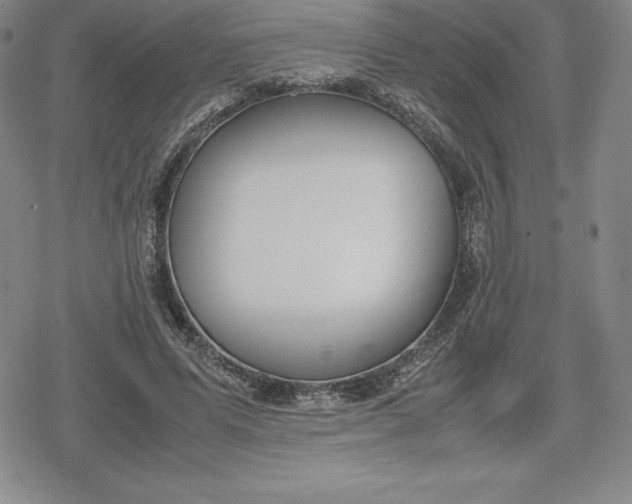 X0000080170591200612221253