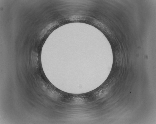 X0000080170592200612221253