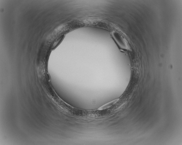 X0000080170593200612221253