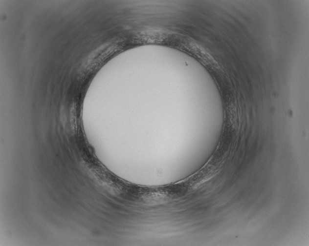 X0000080170594200612221253