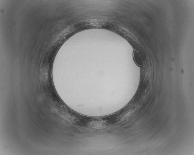 X0000080170595200612221253